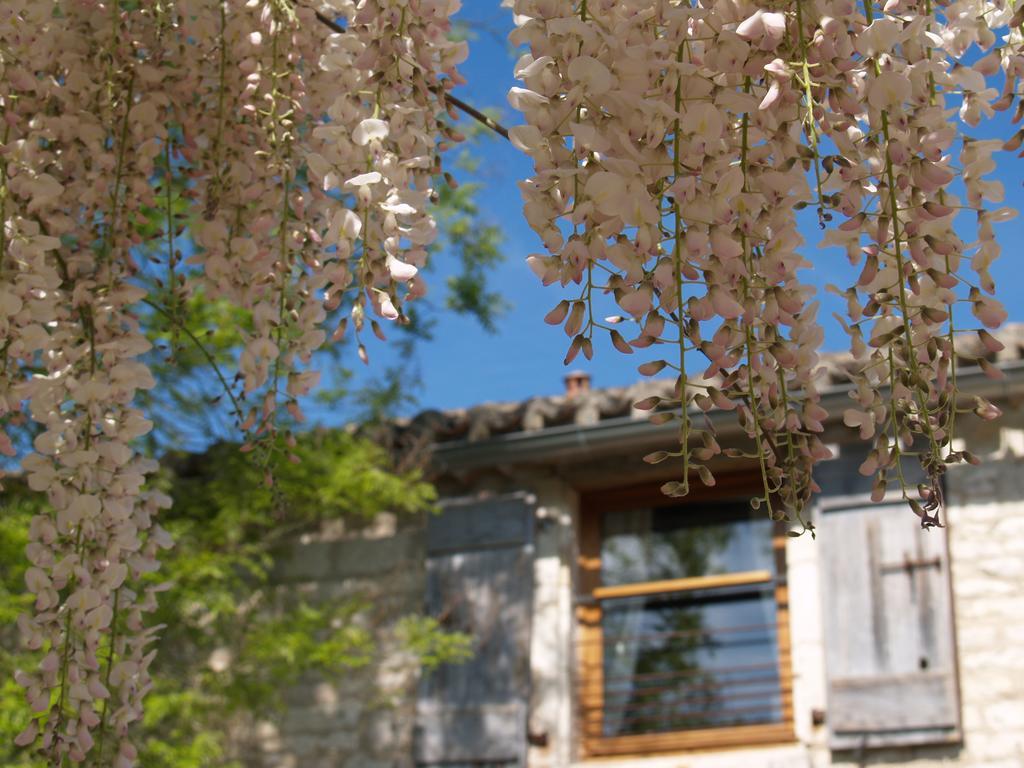 La Vayssade - Maison D'Hotes - Jacuzzi, Piscine & Truffes Lalbenque Dış mekan fotoğraf