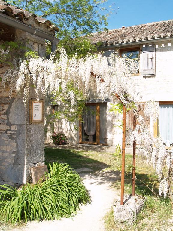 La Vayssade - Maison D'Hotes - Jacuzzi, Piscine & Truffes Lalbenque Dış mekan fotoğraf