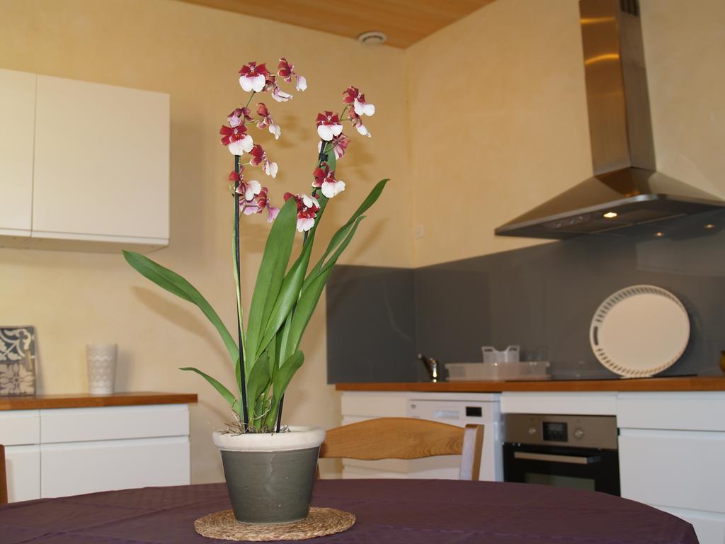 La Vayssade - Maison D'Hotes - Jacuzzi, Piscine & Truffes Lalbenque Dış mekan fotoğraf