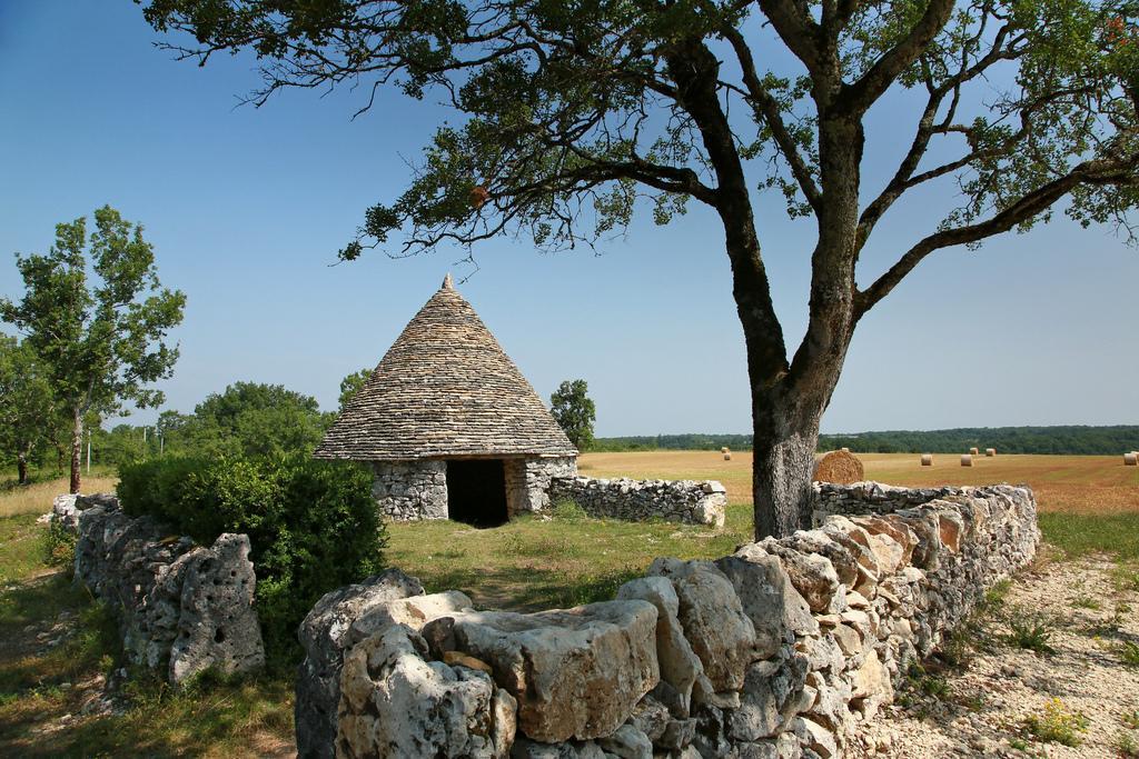 La Vayssade - Maison D'Hotes - Jacuzzi, Piscine & Truffes Lalbenque Dış mekan fotoğraf